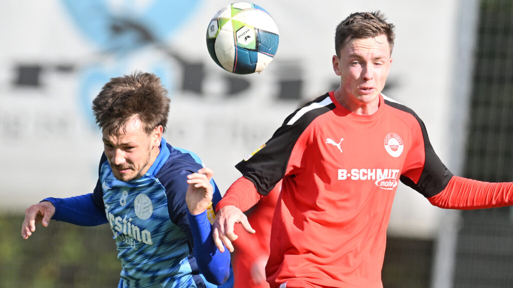 Freitag 20.00 HSV-RW Walldorf
